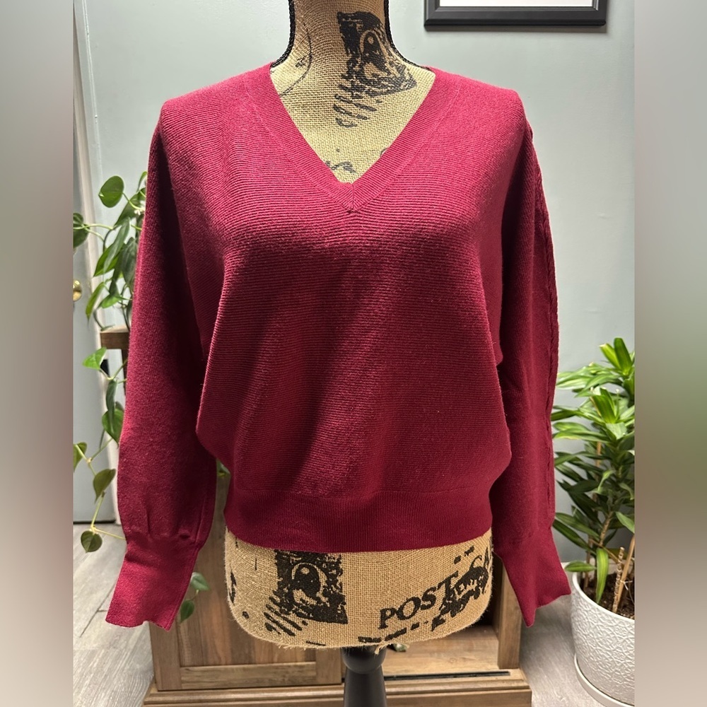 Short Story SP/MP red cropped sweater.